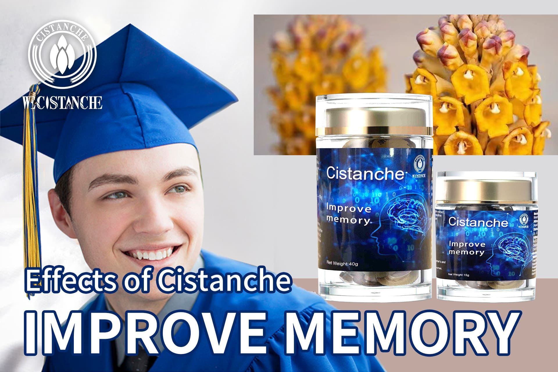 cistanche can improve learning and memory cistanche can improve learning and memory