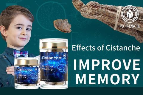 Cistanche-improve memory19