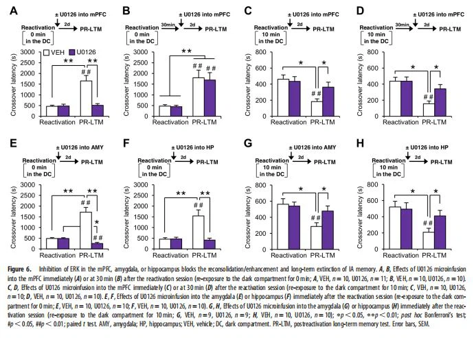 Inhibition of ERK in the mPFC Inhibition of ERK in the mPFC