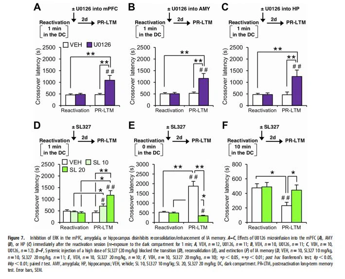 , amygdala, or hippocampus disinhibits , amygdala, or hippocampus disinhibits