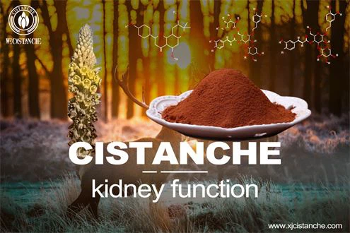 kidney function impaired by Cisplatin 