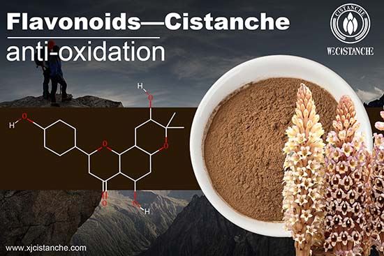 Cistanche has Phenylpropanoid glycosides