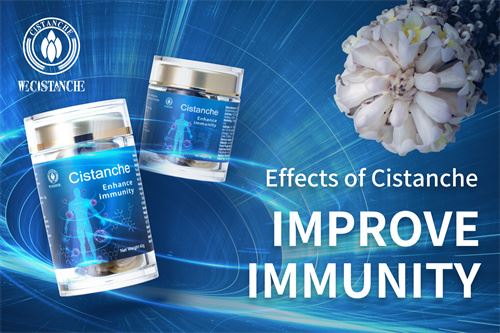Cistanche improve immunity.