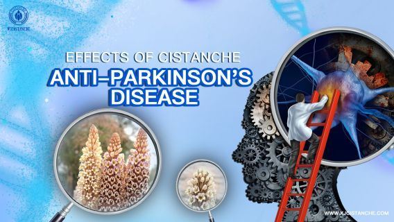 cistanche-neuroprotection6