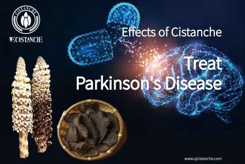 cistanche-neuroprotection1
