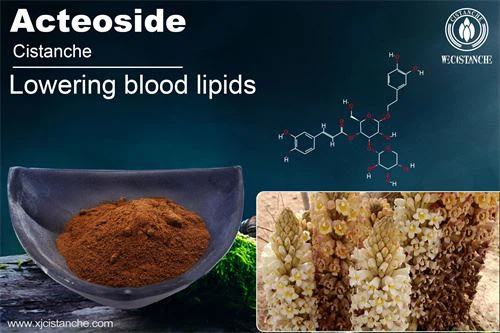 active ingredient acteoside in cistanche
