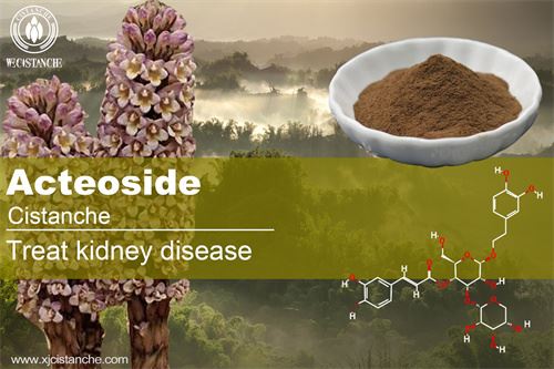  treating kidney diseases