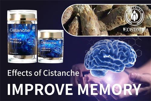 improve memory cistanche supplement improve memory cistanche supplement