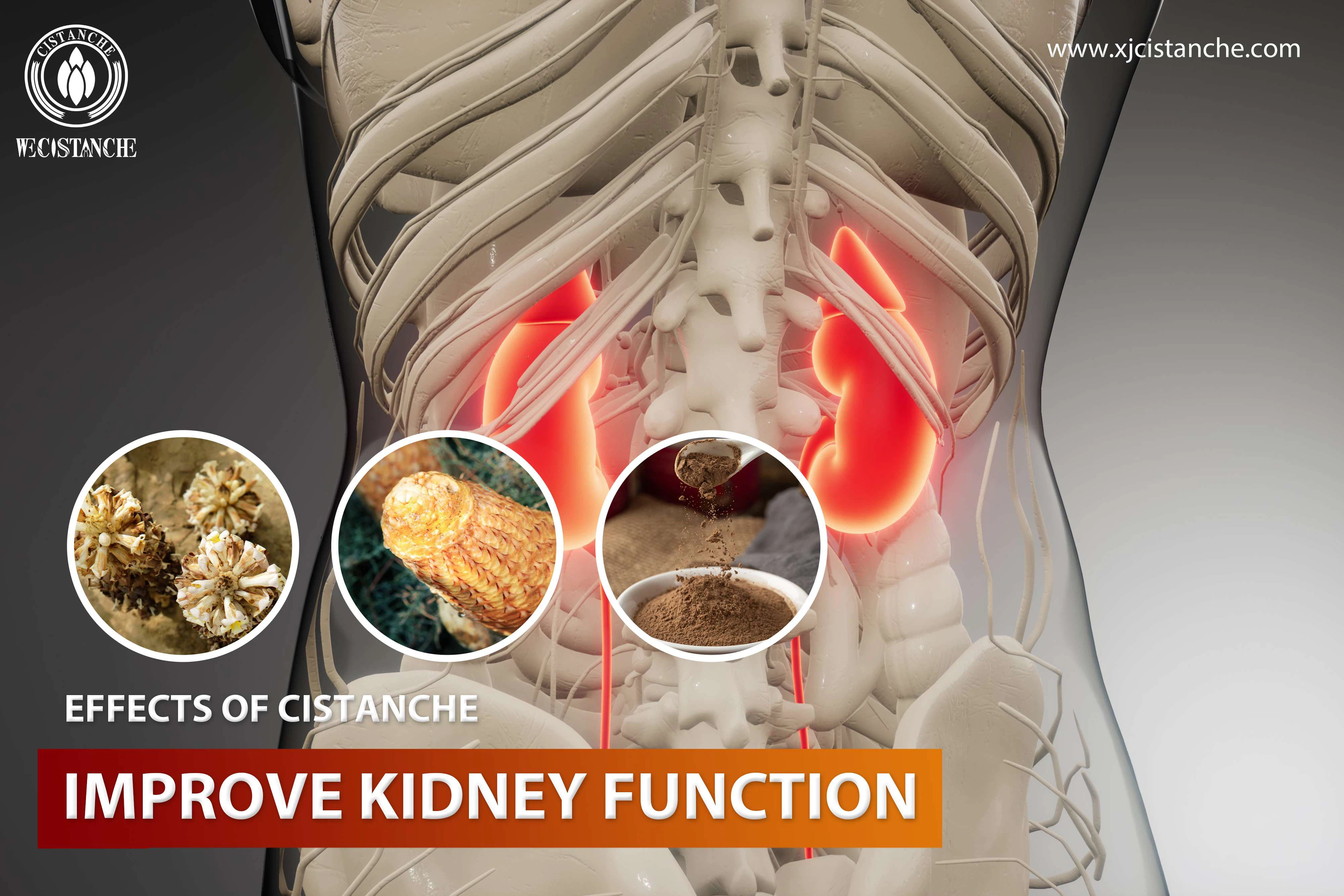 how to improve kidney function
