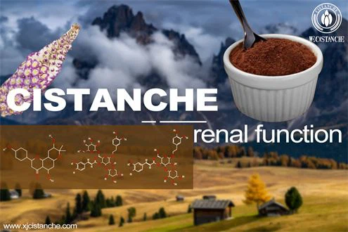cistanche extract benefits