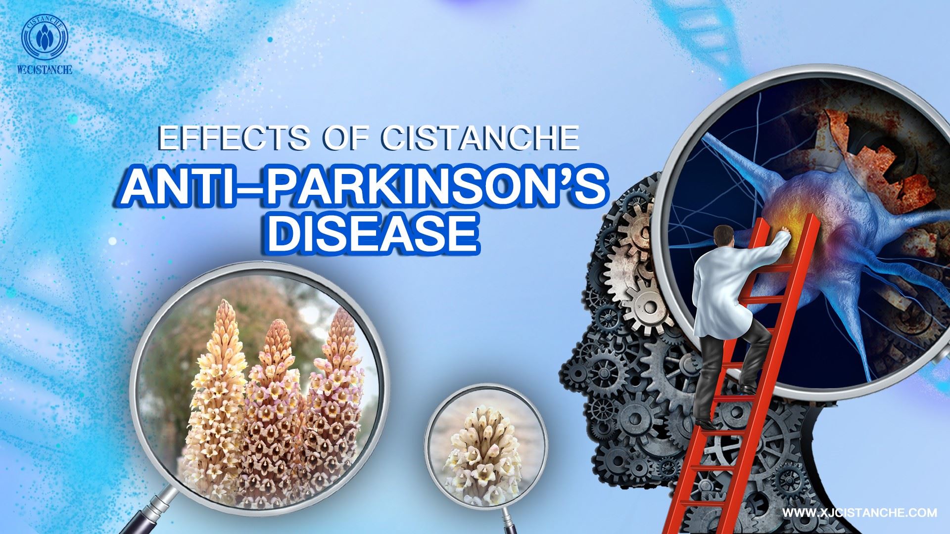 how to treat parkinson's disease