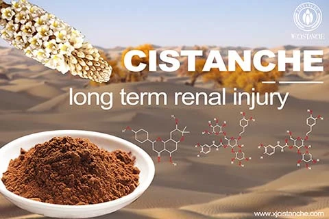 best herb for curing uremia best herb for curing uremia