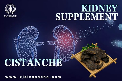 natural herb for kidney