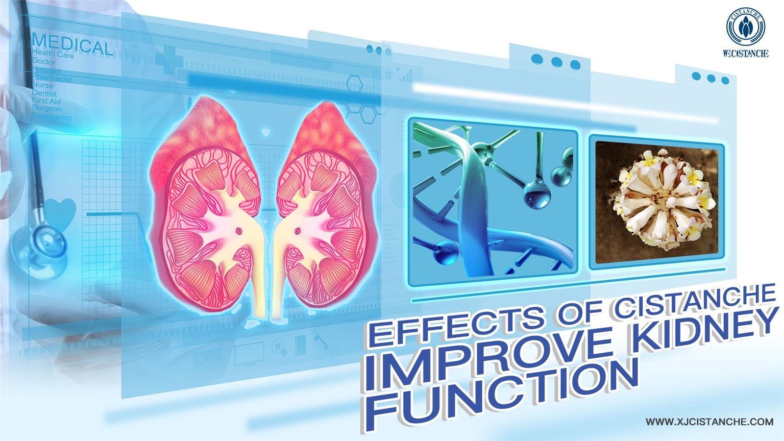 improve kidney function