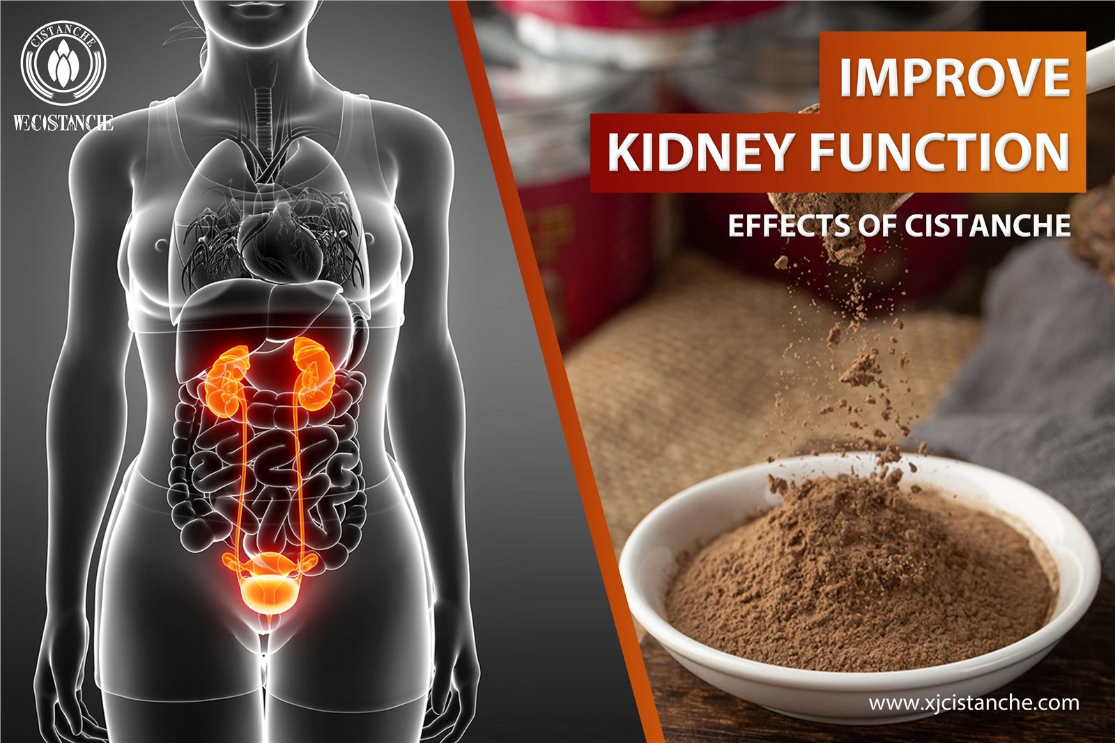 how to improve kidney function