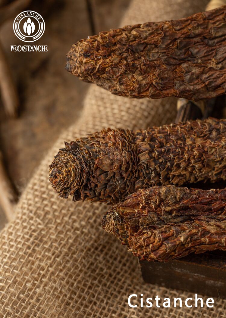 pure cistanche