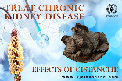 Cistanche benefits Cistanche benefits
