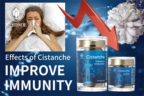 cistanche wirkung