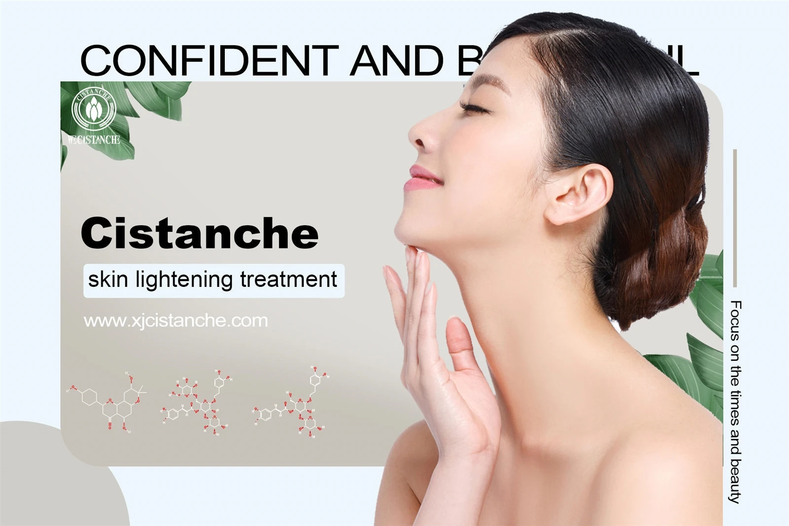 maca ginseng cistanche sea horse maca ginseng cistanche sea horse