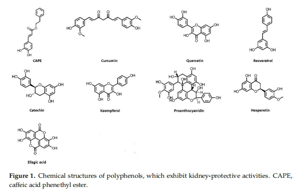 Figure 1 Figure 1