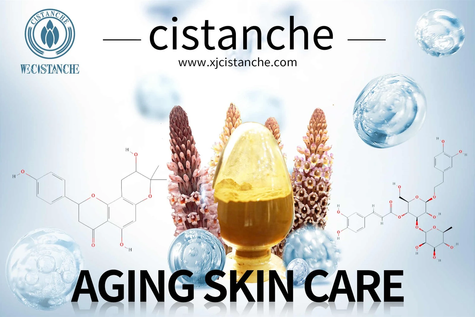 cistanche supplement review cistanche supplement review