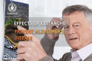 improve your memory