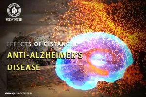 improve cognitive function