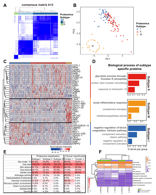 Figure 4. Classification of BD patients using plasma proteomics and clinical variables. A, Heatmap of the consensus matrix showing co-occurring proportions of BD patients with each proteomics subtype. B, Principal components analysis of proteomics subtypes I, II, and III in BD patients, showing remarkable differences among clusters. C, Hierarchical clustering analysis of differentially expressed proteins (P < 0.05, average expression difference P > 0.2) in the 3 proteomics subtypes in BD patients. D, Functional groups of biologic processes according to the specific proteins related to the 3 subtypes. E, Distribution of demographic and clinical characteristics of the BD patients according to proteomics subtypes and clinical classification clusters. F, Distribution of each clinical characteristic according to proteomics subtypes and clinical classification clusters in the BD cohort, based on nonbiased hierarchical clustering analysis. See Figure 1 for definitions.