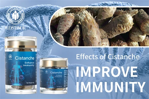 cistanche tubulosa for enhancing immunity