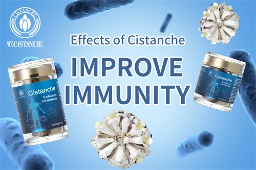 cistanche for improving immunity