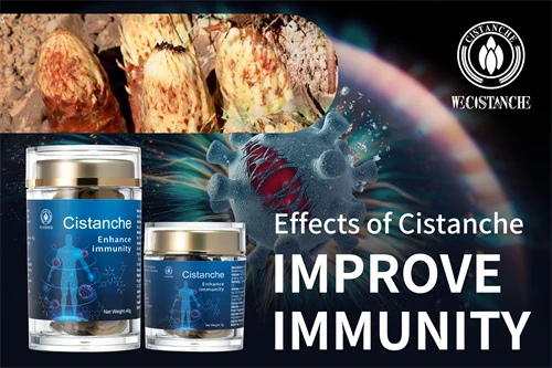 Cistanche tubulosa extract