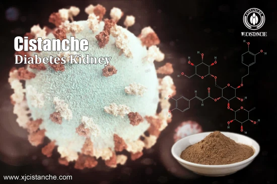 cistanche benefits for patients with chronic renal failure cistanche benefits for patients with chronic renal failure