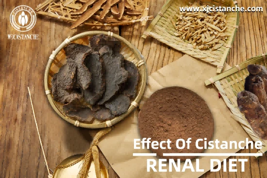 CISTANCHE  Benefits FOR KIDNEY DISEASE