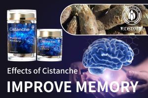 increase memory power increase memory power
