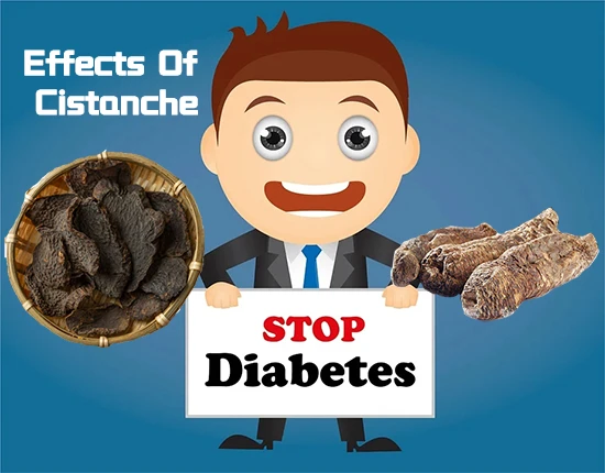 Effects Of Cistanche