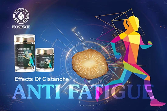 effects of cistanche-anti fatigue (6) effects of cistanche-anti fatigue (6)