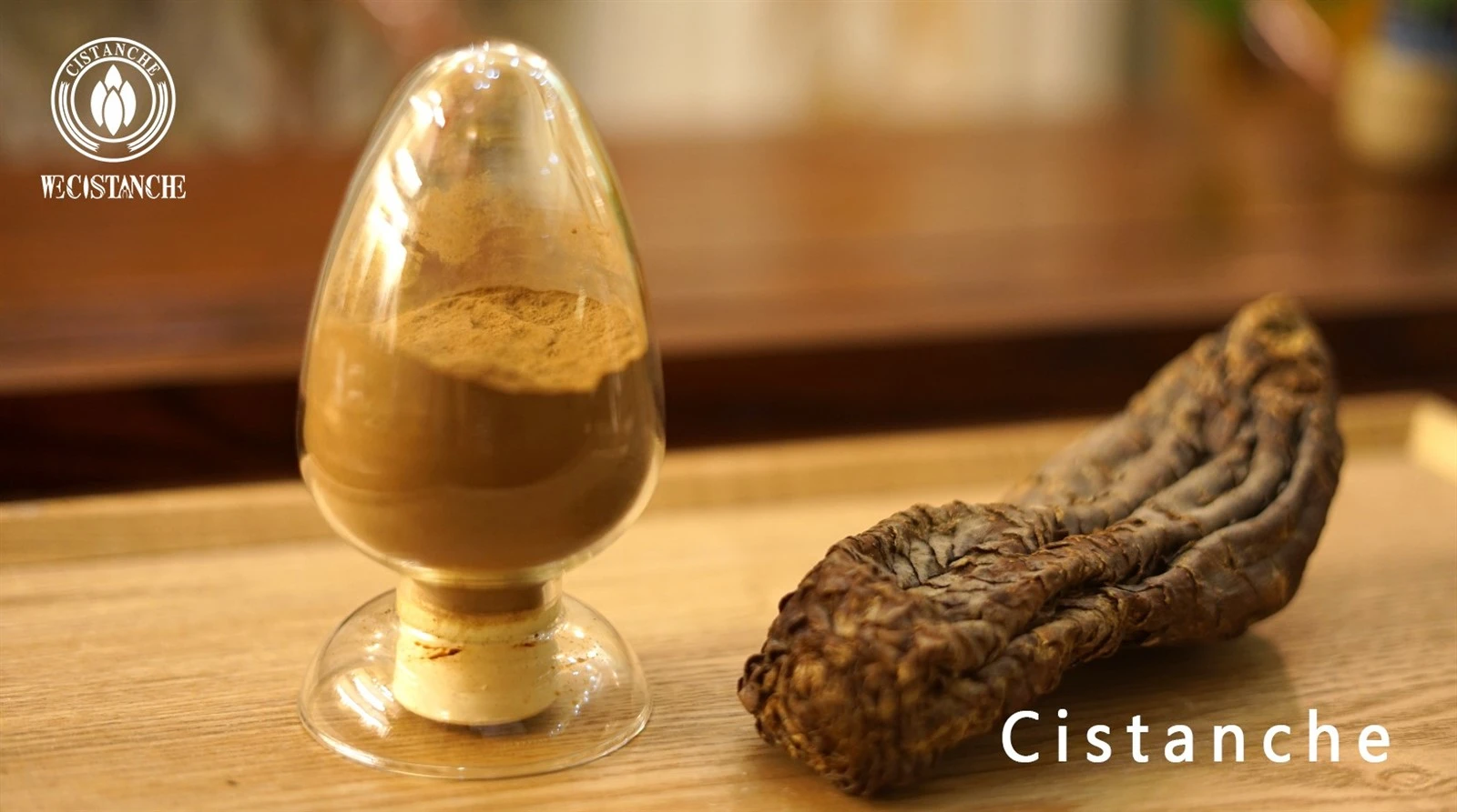 Cistanche tubulosa for combating aging and maintaining health