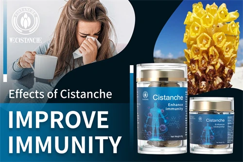 Desert ginseng-Improve immunity (13)