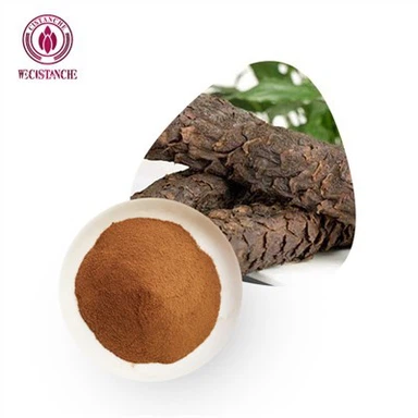 टेस्टोस्टेरोन के लिए Cistanche