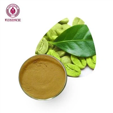 ग्रीन कॉफी बीन एक्सट्रेक्ट पाउडर