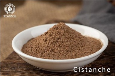 सिस्टैंच टुबुलोसा प्राकृतिक अनुपूरक पाउडर निकालें