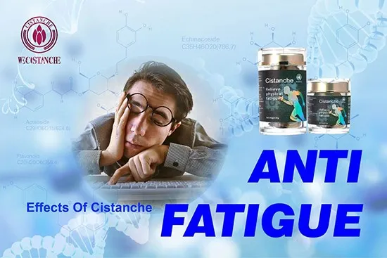 effects of cistanche-anti fatigue 5 effects of cistanche-anti fatigue 5